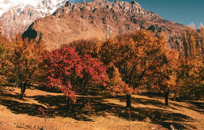Chitral with a visit to Kalash Valley (5 Days)