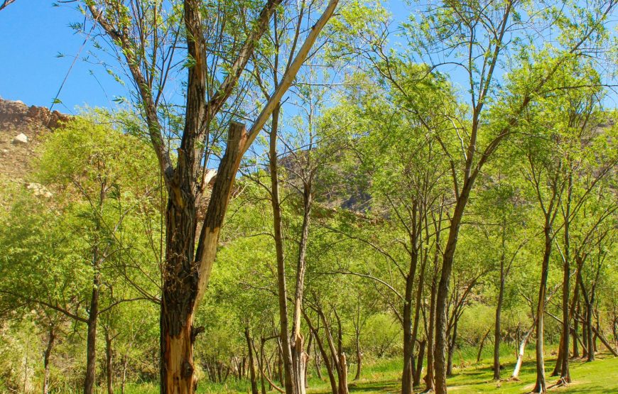 Chitral with a visit to Kalash Valley (5 Days)