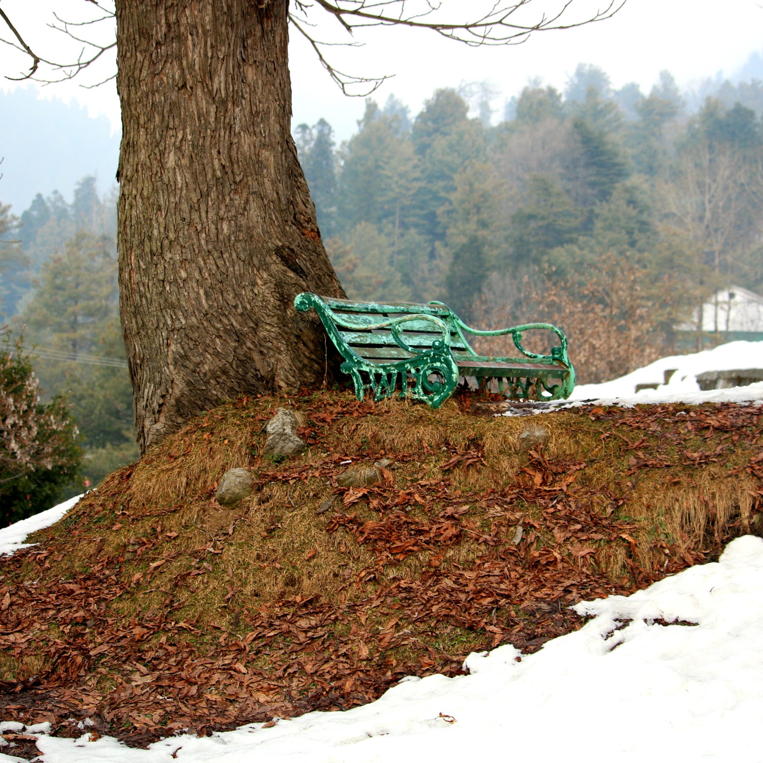 Week-End in the Galliyat-NathiaGali, Dunga Gali and Murree (3 Days)