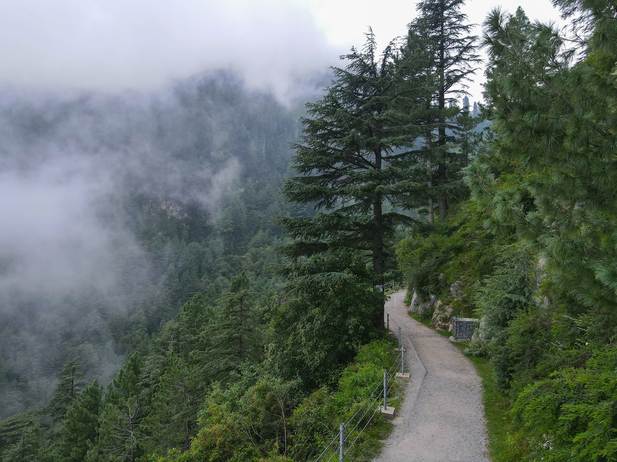 Week-End in the Galliyat-NathiaGali, Dunga Gali and Murree (3 Days)