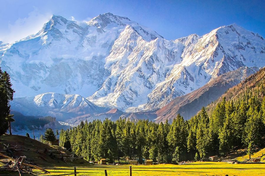 Fairy Meadows, Jilipur & Buldar Peak Expedition (7 Days)