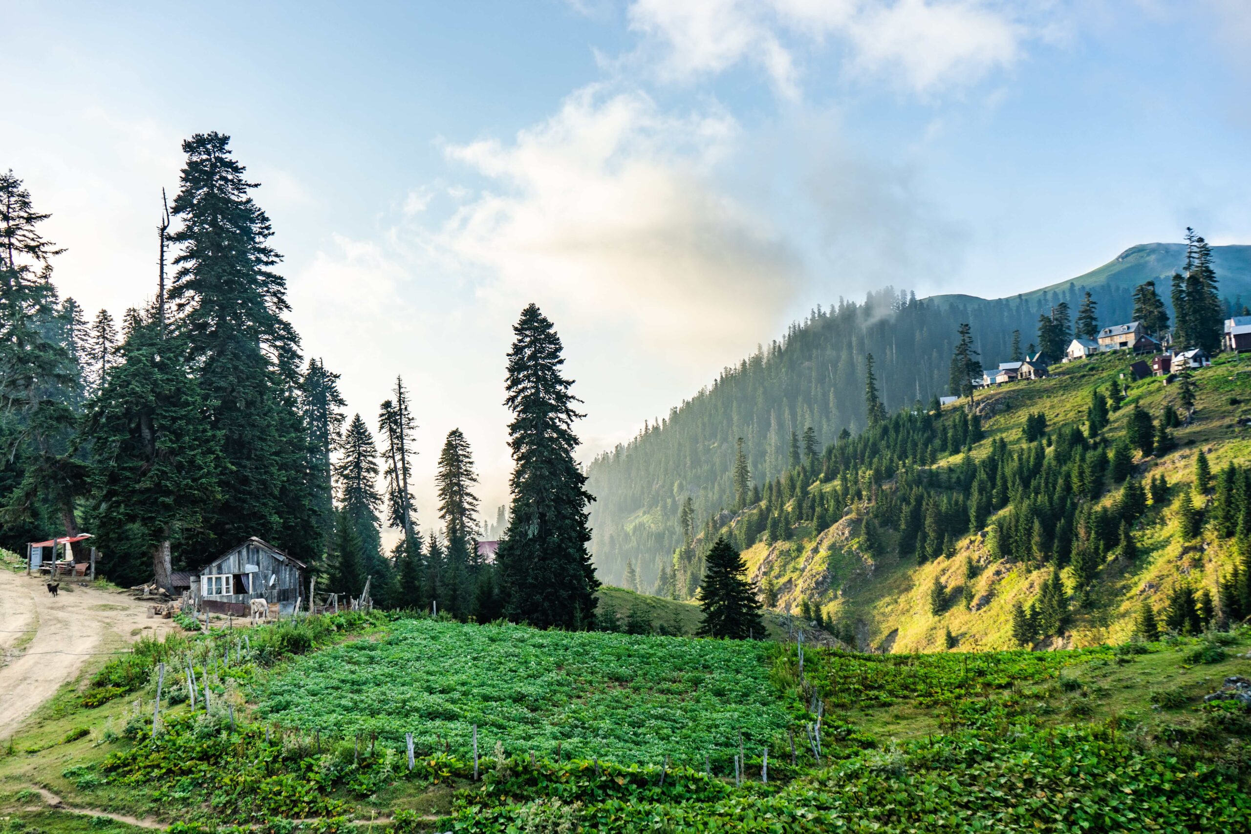 Week-End in the Galliyat-NathiaGali, Dunga Gali and Murree (3 Days)