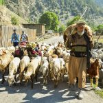 Swat Valley Explorer: Mingora, Kalam, Ushu & Malam Jabba (5 Days)