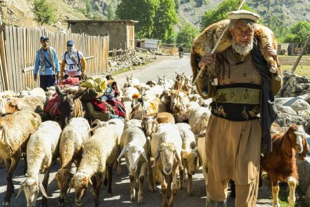 Swat Valley Explorer: Mingora, Kalam, Ushu & Malam Jabba (5 Days)