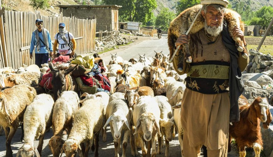 Swat Valley Explorer: Mingora, Kalam, Ushu & Malam Jabba (5 Days)